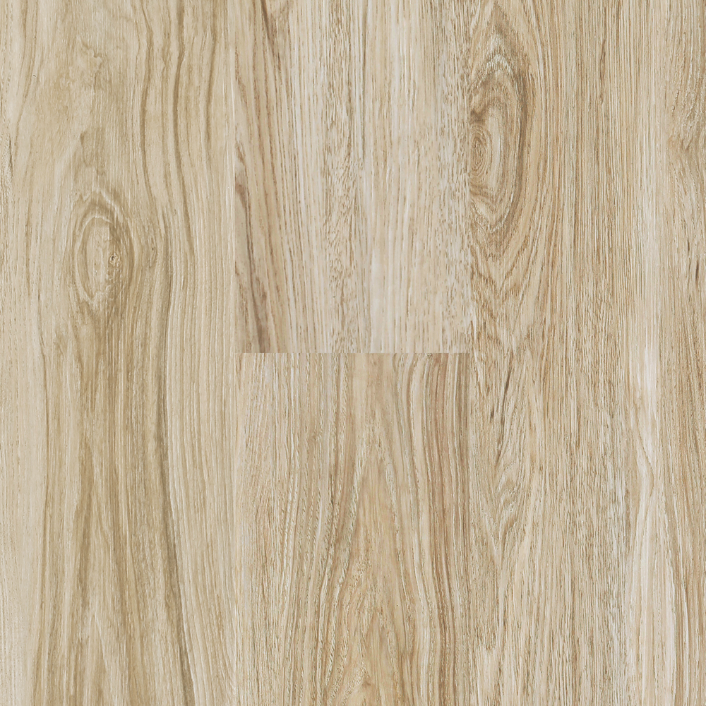 Incredible 5.0 — Next Floor®